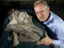 布瑞特博士和阿比杜斯龙的头骨化石
