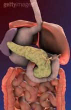 肠原性青紫病 肠原性青紫病