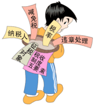 税收制度 税收制度