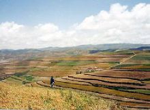 退耕还林 退耕还林